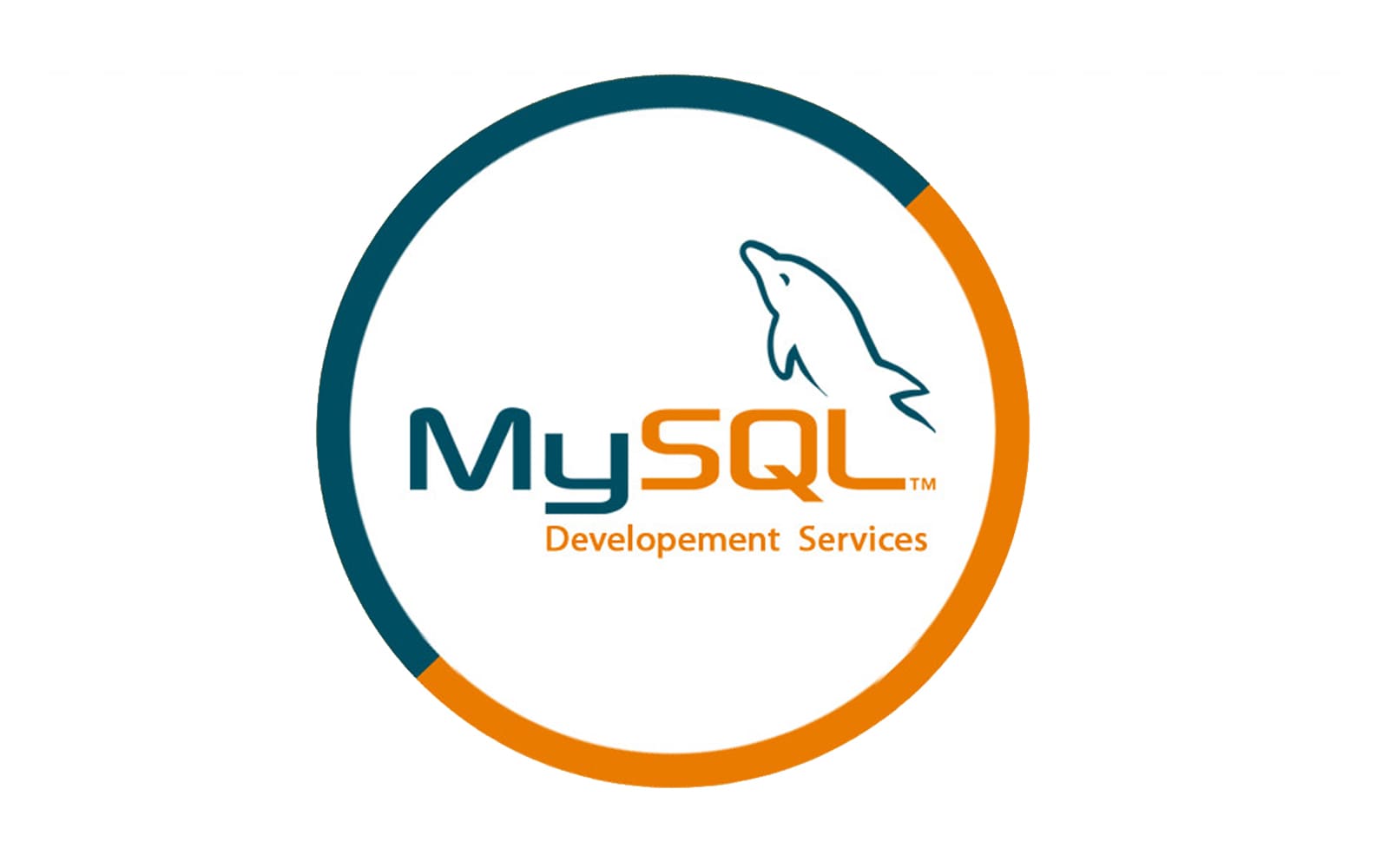 MySQL Database